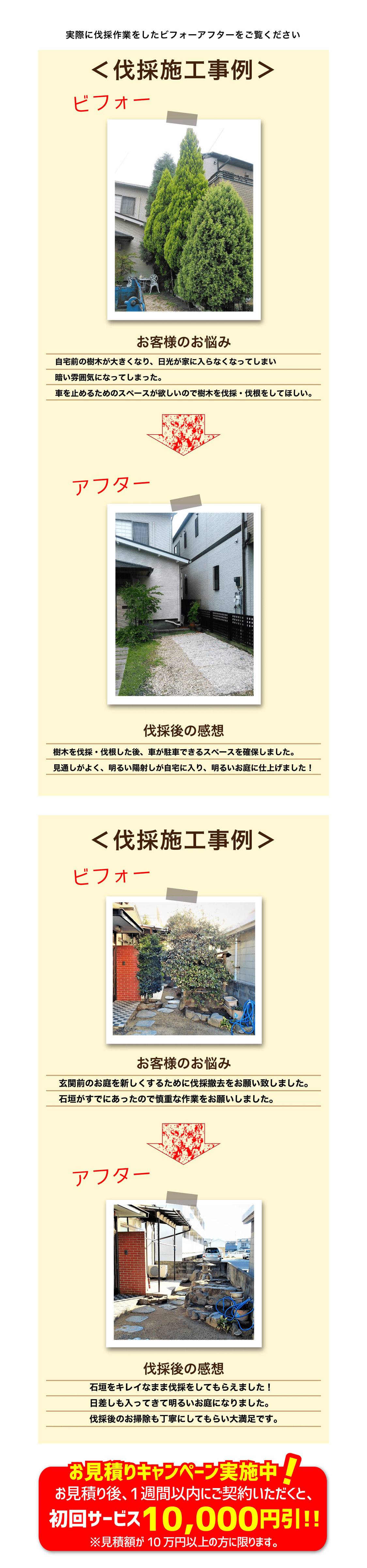 たかはし園芸はNHKでも実績が認められて紹介されています！